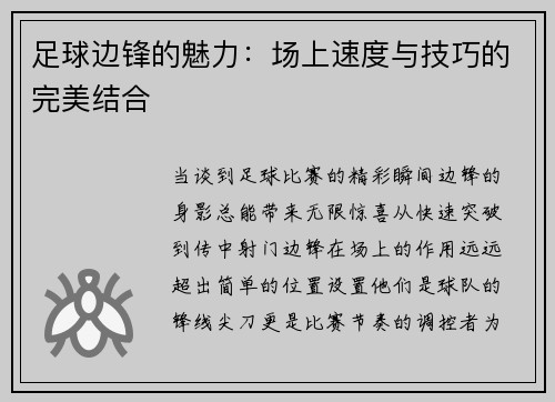 足球边锋的魅力：场上速度与技巧的完美结合